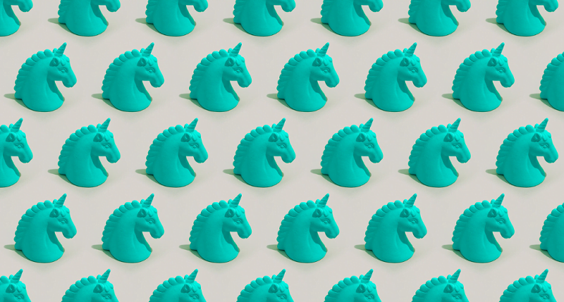 Unicorns. Photo: Canva, One Design Use License Agreement